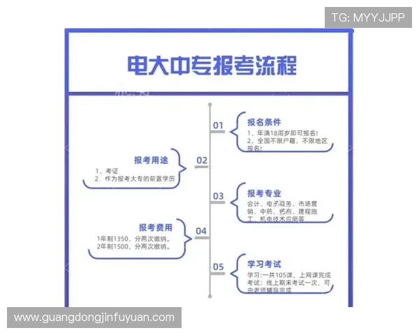 壹号平台注册官方网站：用户注册、登录及账户管理全流程指南